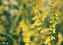 �Ĳ�������ʲô������ҪӰ����Щ��