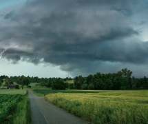 Ԫ��ɷ�����𣬴��ǲ�һ������Ҫ���ݾ������������