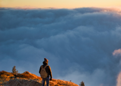 �������������������������ֱ��Ӧʲô