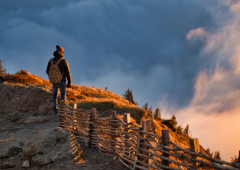 ����������ɺ͵�֧����ָ֧�����껹����