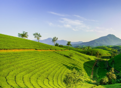 �Ĳ���������յ�λ�ã����Ǹ�����ְ