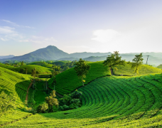 ���������ղ鷨������������������ʲôӰ��