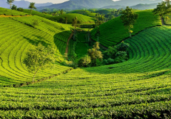 ʮ��������ɷ����ɶ��˼����λ���ʮ���ܵ�Ӱ��