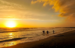 ���������������Ե ������Ի�����ʵ�����������