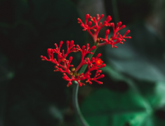 ���ֿ����ӣ��û��������Ҹ�