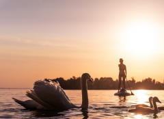 ����֪���Լ��һ����Ƶķ��� ��ͬ�����в�ͬ���һ�����