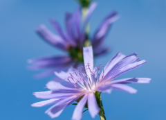 ������������ֲ�����ô�� ���ֺϻ��Ŀ