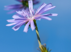 ʲô�ǰ��ֺϻ飬���ֺϻ鷽������