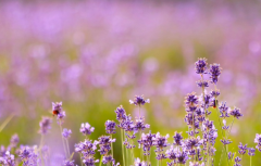 ��Ե������� ����Щ���ֵ�Ů���ܼ޸����ɷ�˼�������