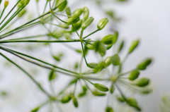 ��4��ʱ�����������һ����� �����õ�����Ե����û��׷