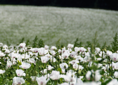 �������ڿ��������ƣ���Щ���ڳ�����Ů�������˺ܲ���