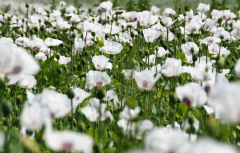 ���ֿ�����Ӧ��ע��ʲô��ǧ��Ҫ���⼸����Ե���