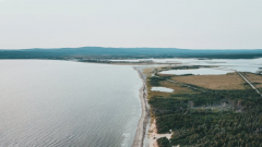 �й�ʳ������壺һ�뷹��һ����