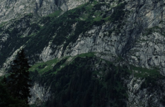 95������������2023������ô���� ��������������