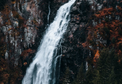 �������޺ͻ���ʲô��˼�����߾�������