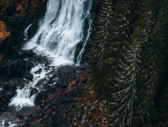 Ů�������ɷ���ļ��֣�������ɷ��Ҫ�˽�