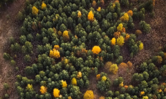 如何化解九丑命,好方法请你收下