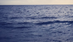 命带桃花是什么意思,会有什么危害