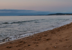 命犯烂桃花是什么意思,有什么化解方法