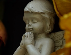 经常做稀奇古怪的梦境是什么意思要如何应对