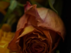 梦见打雷下雨有什么寓意,不同的人梦到寓意不同